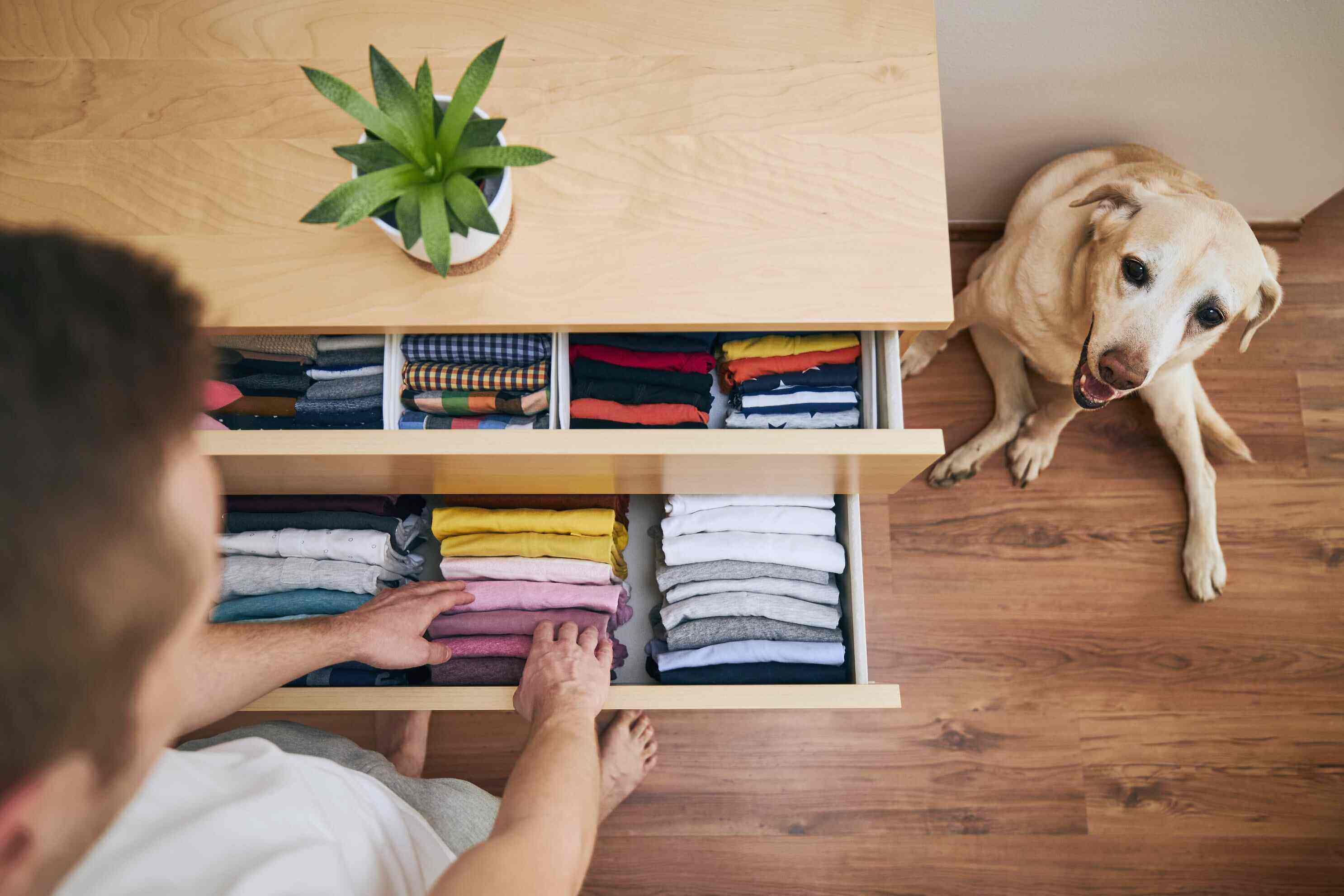 How to Organize Your Life: 5 Habits of Highly Organized People